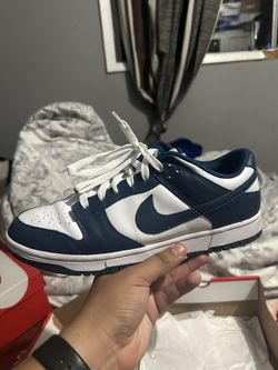 Nike Dunk Low Valerian Blue
