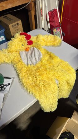 Chicken Costume 