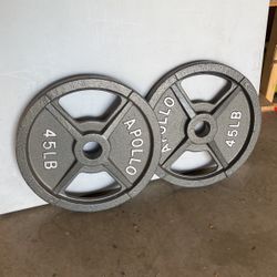Apollo 45lb Weights For Barbell