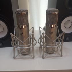 Two Mics Warm 45 Junior