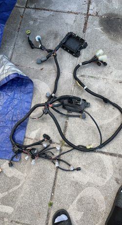 Yamaha Ex wire Harness 