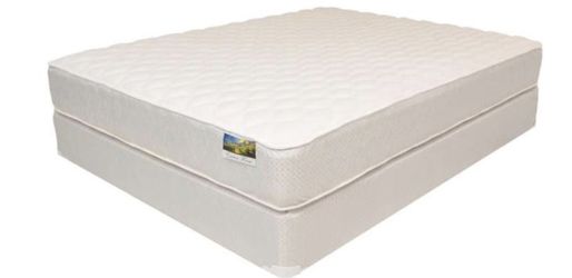 $119 special -> orthopedic mattress sale
