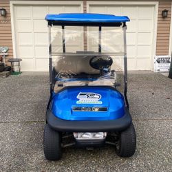 2011 Custom Seahawks 48 Volt Club Car Precedent 