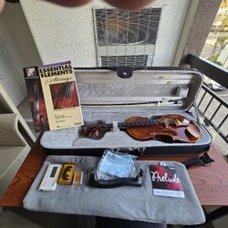 PATINA Violin NOTRE DAME PTV520 