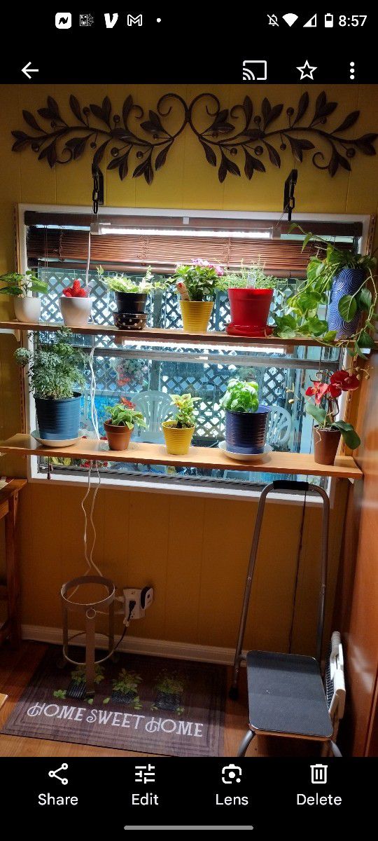 Plant Shelf 