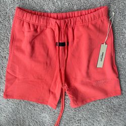 Coral Essentials Shorts Size L