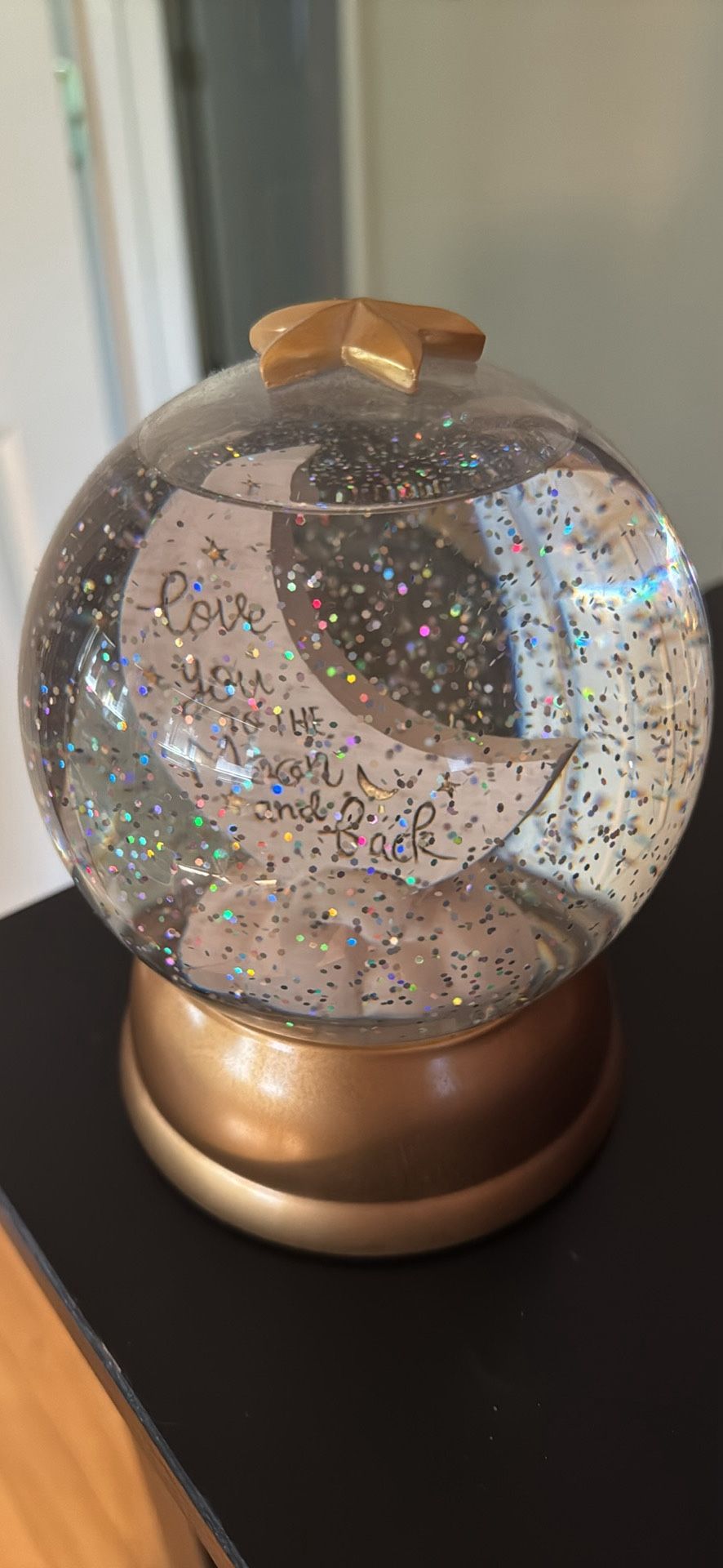 I Love You To The Moon And Back Globe