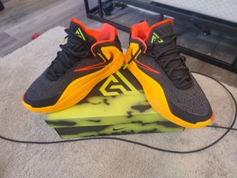 Nike shoes brand new