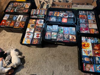 Movies / Movie Collection 