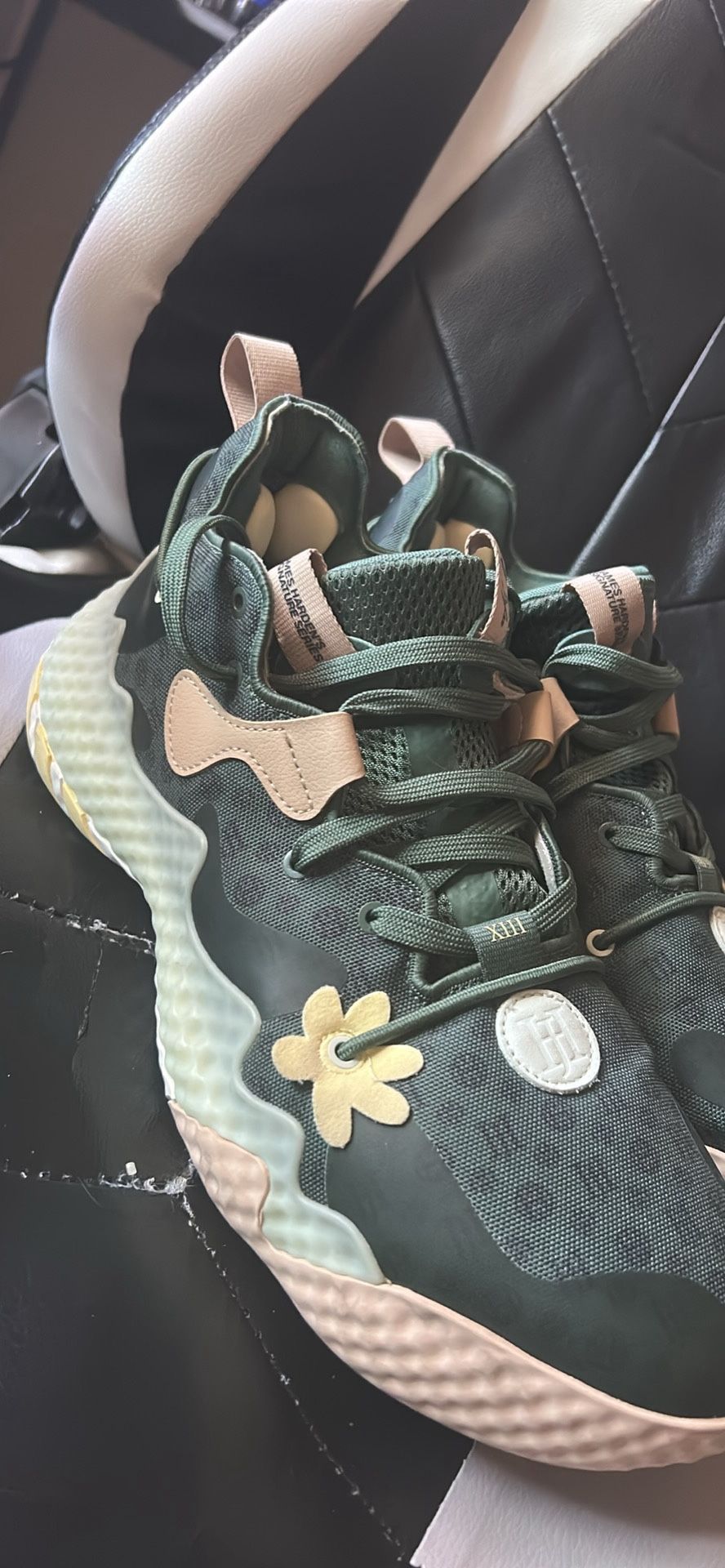 James Harden 6s (size 11)