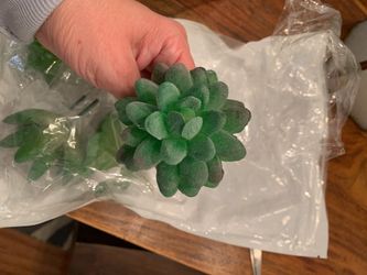 Assortment of 5 faux succulents