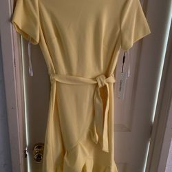Calvin Klein size 6 new dress