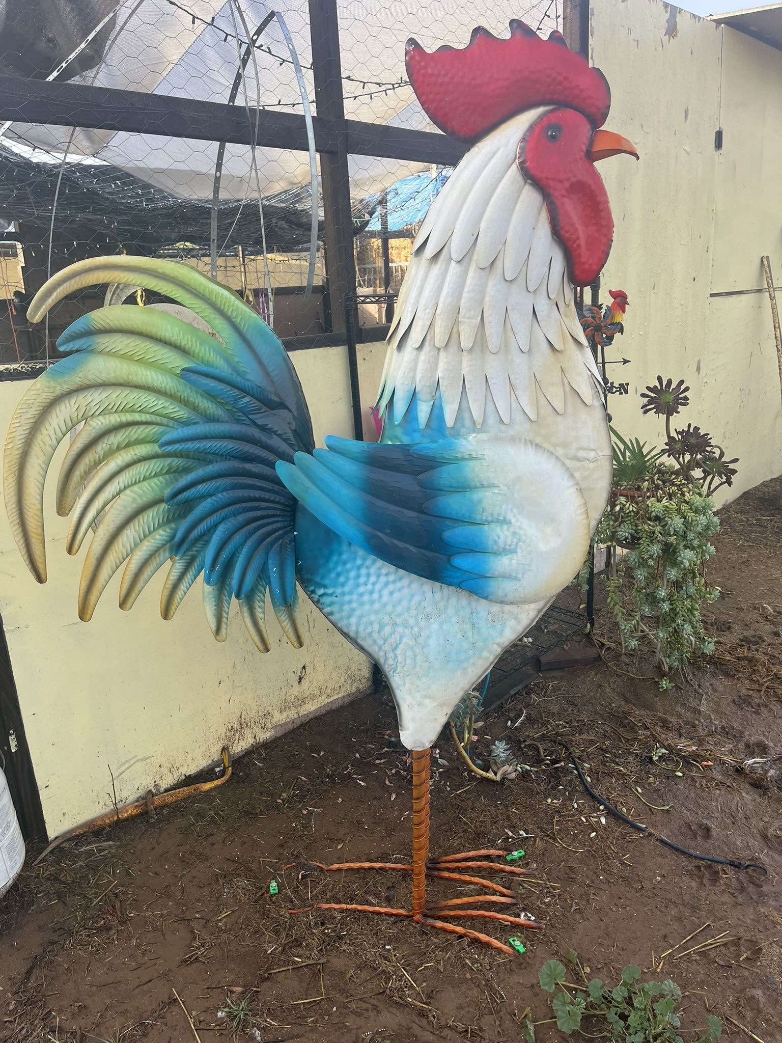 Large Chicken statue