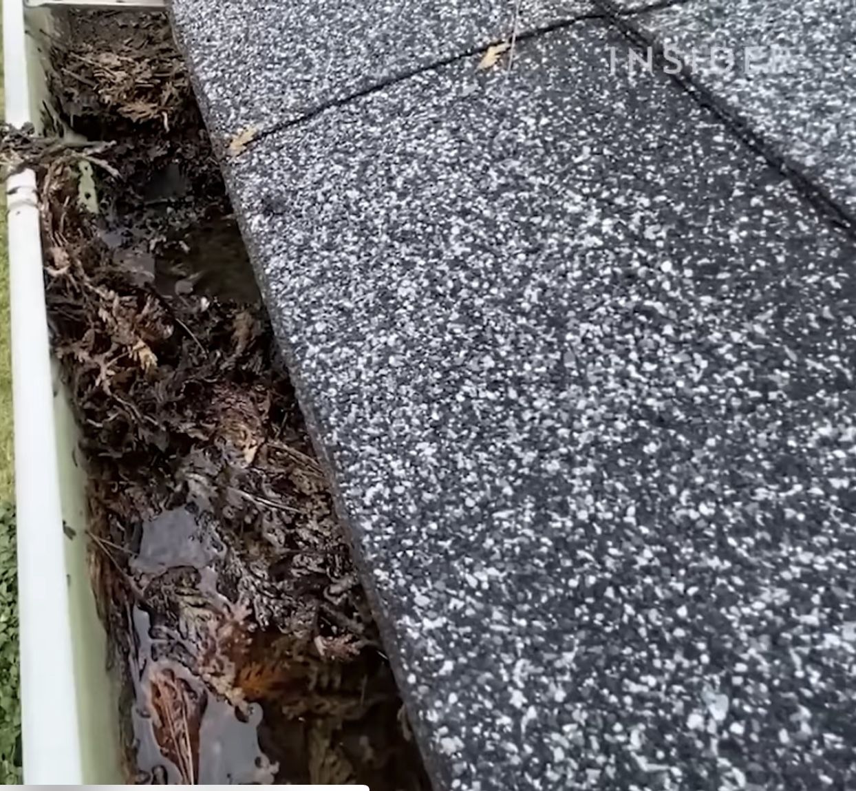 Gutter Cleaning Services