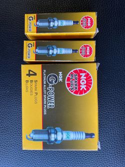 NGK Spark Plugs (6)