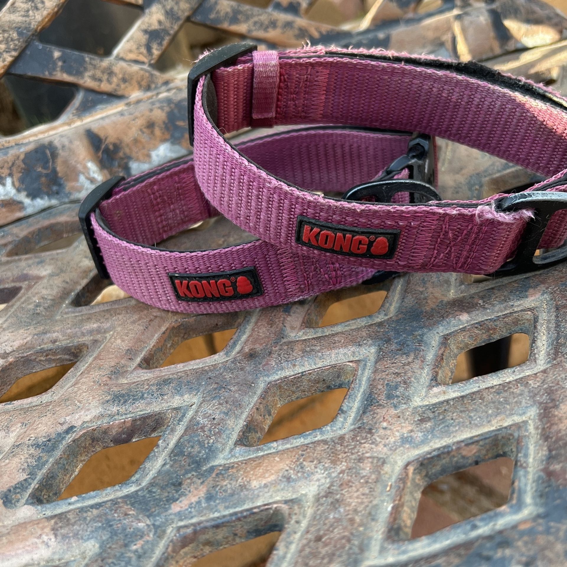 2 Medium Pink Dog Collar