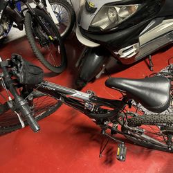 Mountain Bike 10-14 Yr 