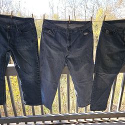 3 Pair Men's Cinch Jeans