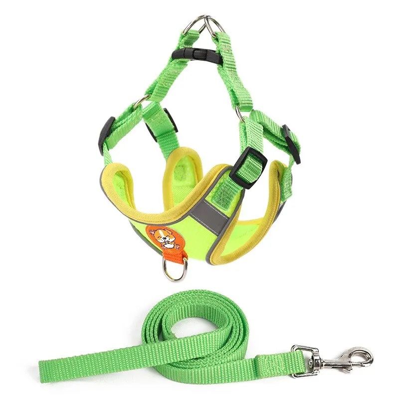 Dog Harness