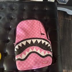 Pink sprayground