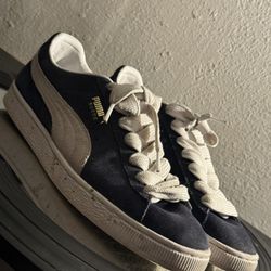 Puma suade