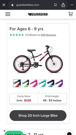 Guardian 20 inch bike
