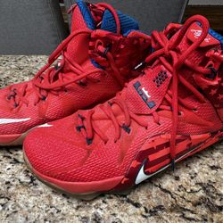 Nike LeBron 12 USA