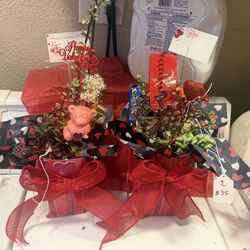 Valentine’s Day Succulents 
