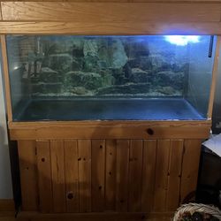 Aquarium 