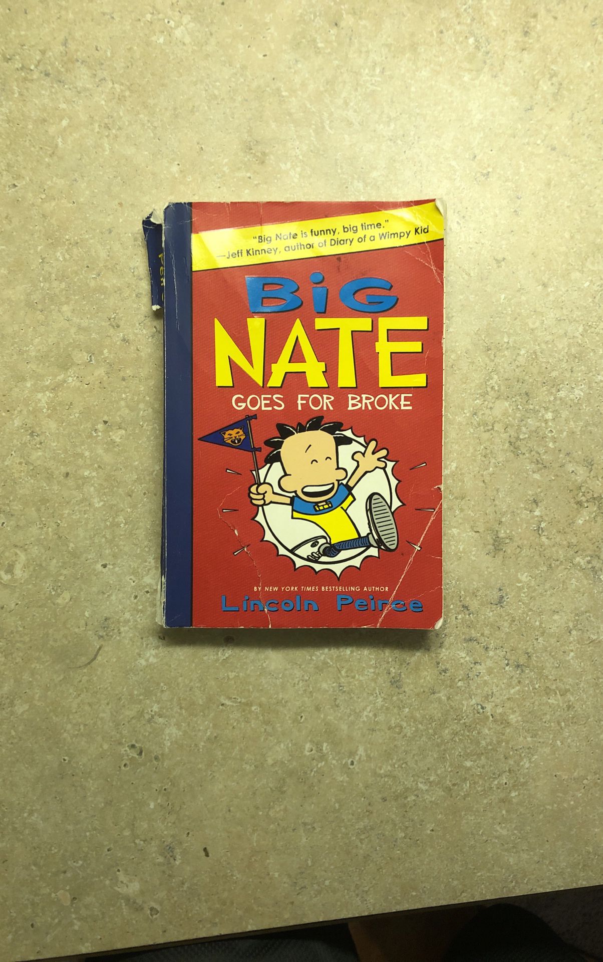 Big Nate: Goes For Broke