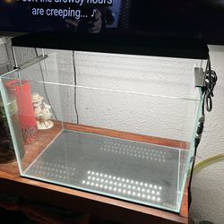 ADA Rimless Aquarium