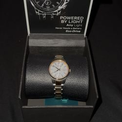 Citizen Eco Drive Watch