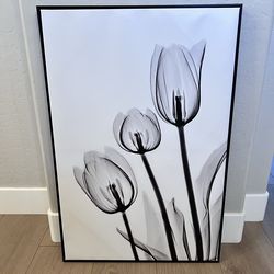 36x24 Large Floating Framed Black and White Tulip Floral Canvas Artwork