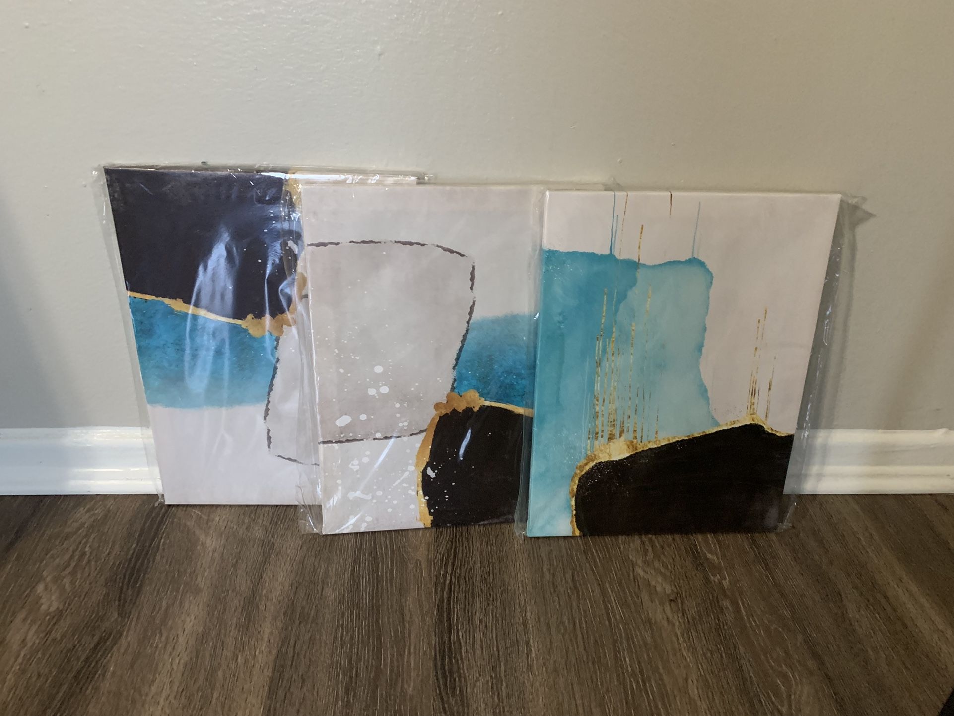Canvas Set