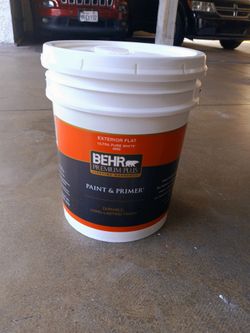 Pure white flat exterior paint bear