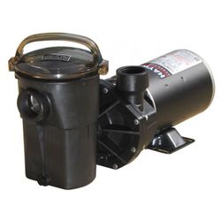 Pool Pump Motor