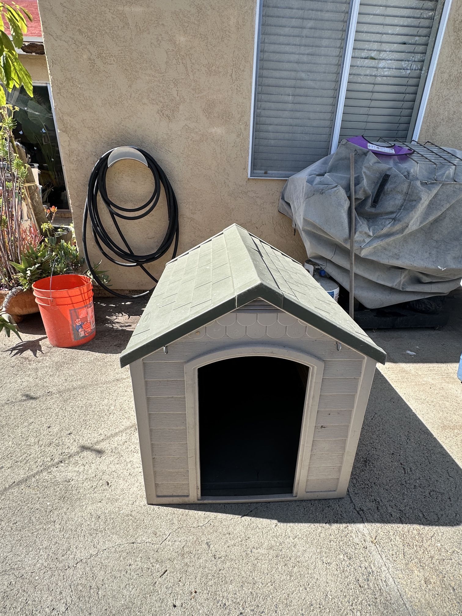Dog House