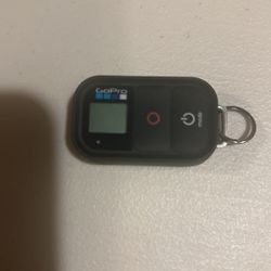 GoPro Wi-Fi Remote Control 