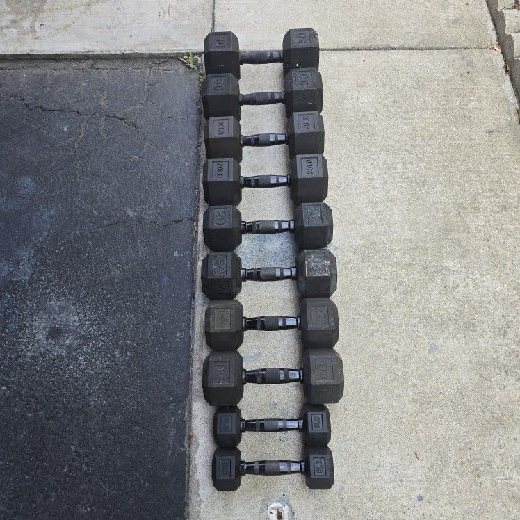 Dumbbell Weights