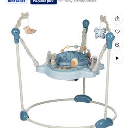Baby Bouncer 