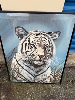 Tiger Picture