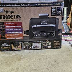 Ninja Woodfire  Outdoor Grill & Smoker