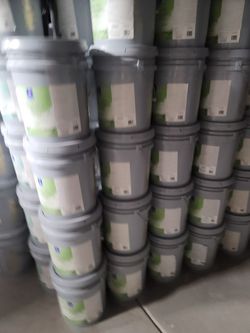 Paint for sale