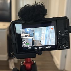 SONY ZV1F