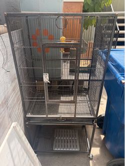 Bird cage