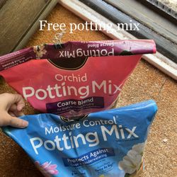 Free Potting Mix