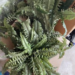 Fake Ferns For Large Pot