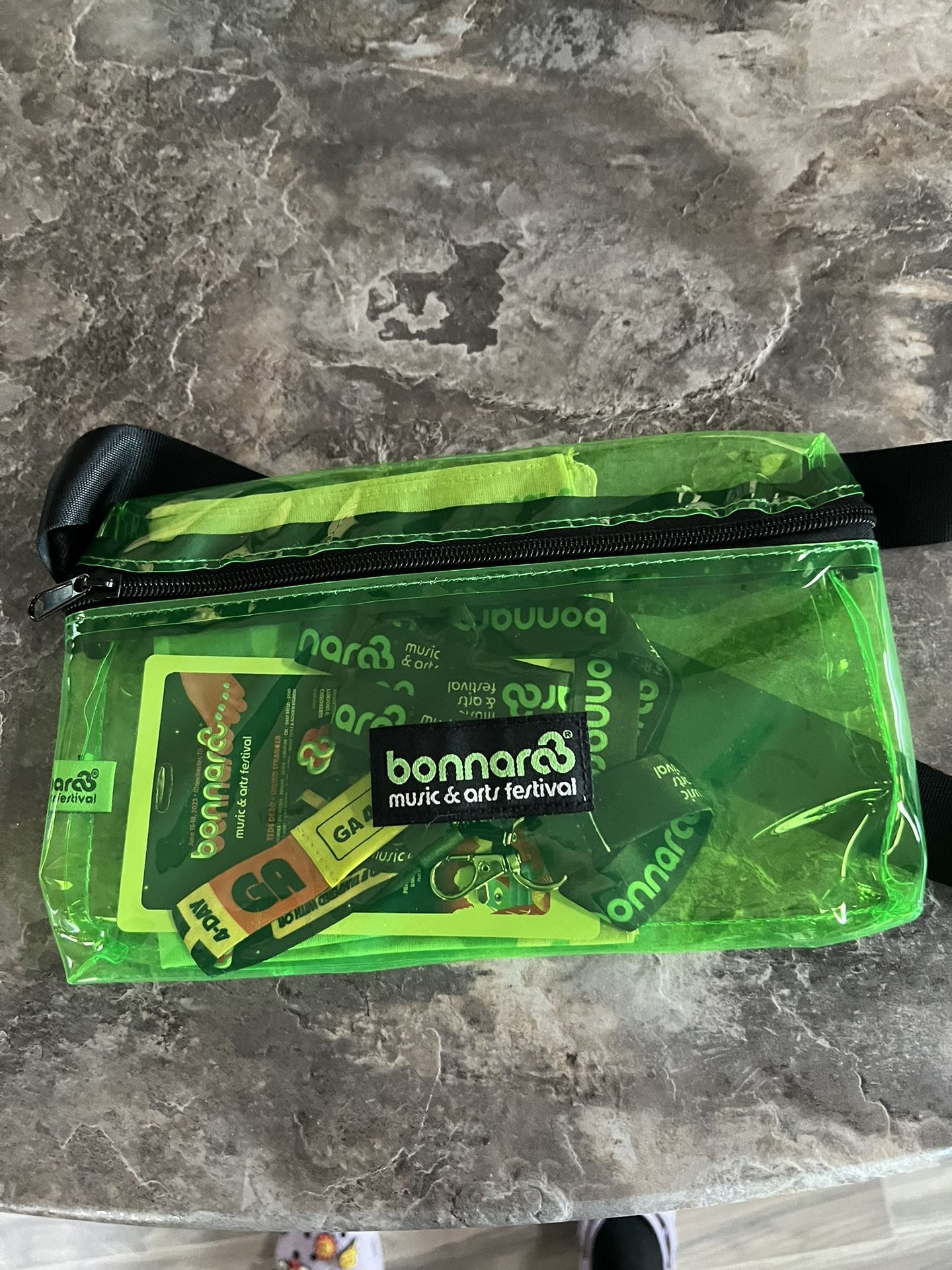 Bonnaroo 4 day GA Wristband & Fanny