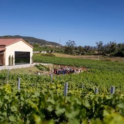Danza Del Sol Winery