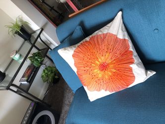 Crate & Barrel Throw Pillow